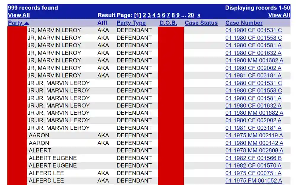 A screenshot showing court records search results showing details such as party name and type, date of birth, case status and number from the Alachua County Clerk of Circuit Court website.